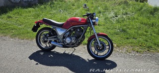 Yamaha SR SRX 600 2TM