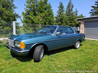 Mercedes-Benz 230 W123 230ce
