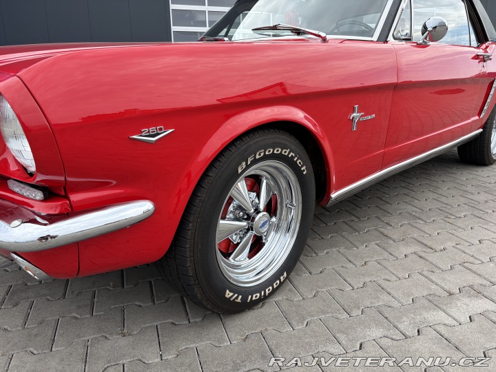 Ford Mustang Coupe/1965 1965