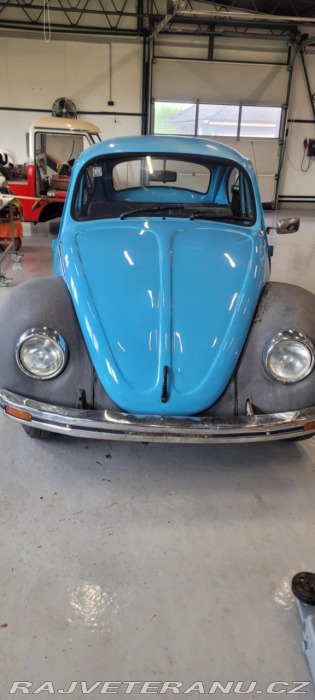 Volkswagen Brouk 