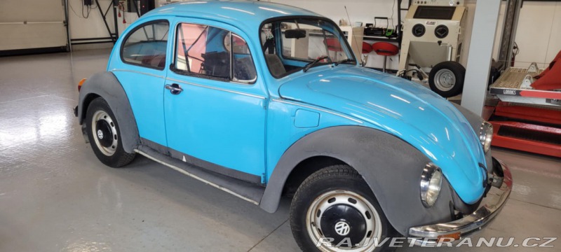 Volkswagen Brouk 