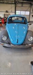 Volkswagen Brouk 