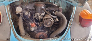 Volkswagen Brouk 1975