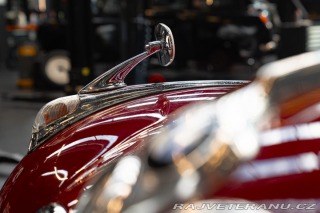 BMW 501  1955