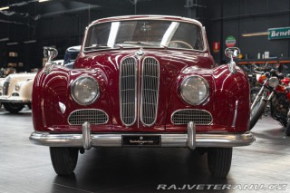 BMW 501  1955