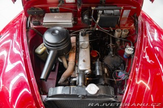 BMW 501  1955