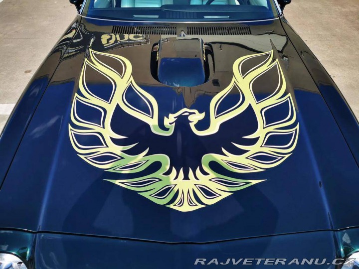 Pontiac Trans Am Firebird 1974