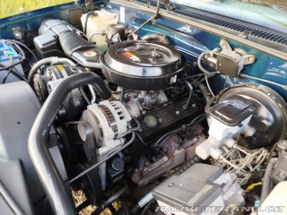 Chevrolet C/K C1500 1995