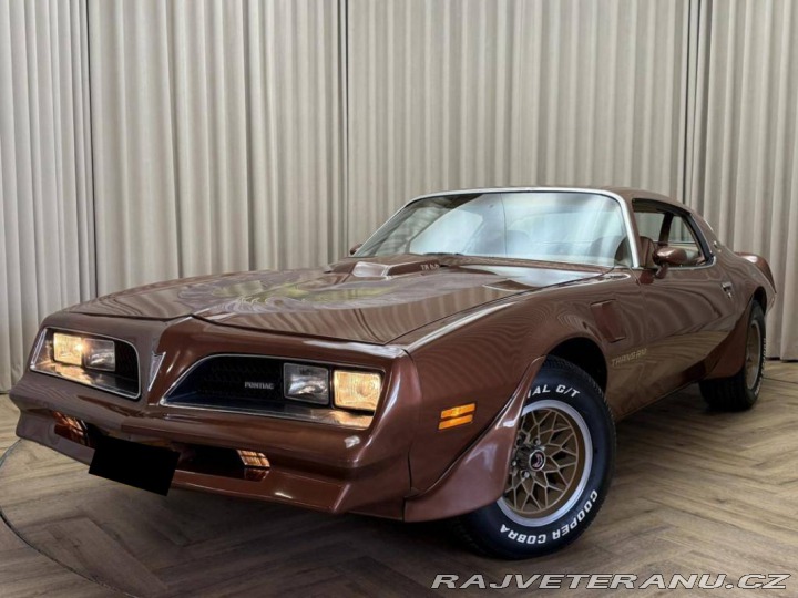 Pontiac Firebird TRANS AM T/A 6.6 1978