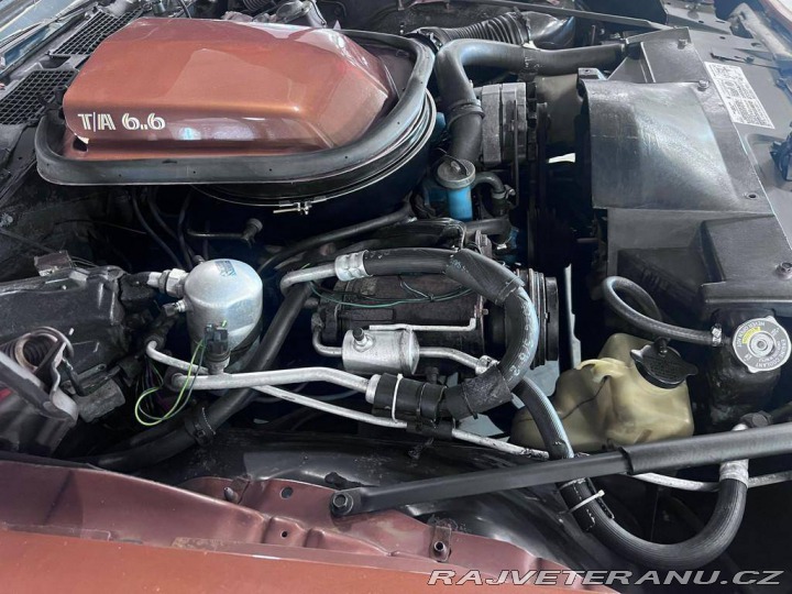 Pontiac Firebird TRANS AM T/A 6.6 1978