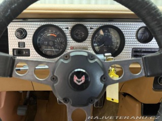 Pontiac Firebird TRANS AM T/A 6.6 1978