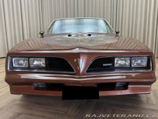 Pontiac Firebird TRANS AM T/A 6.6 1978