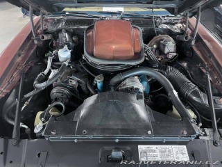 Pontiac Firebird TRANS AM T/A 6.6 1978