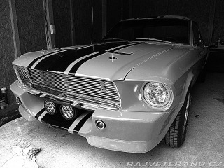 Ford Mustang 