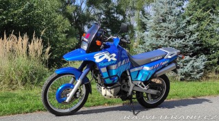 Suzuki DR 800 Big