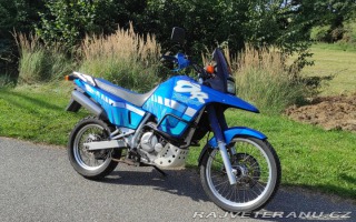 Suzuki DR 800 Big 1993
