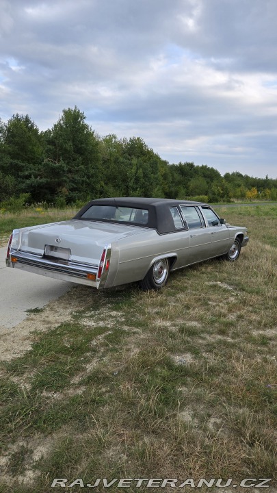 Cadillac Fleetwood Limousine 1979