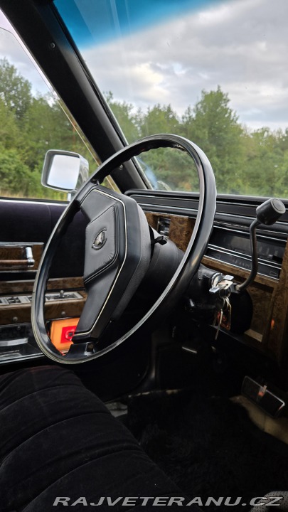 Cadillac Fleetwood Limousine 1979