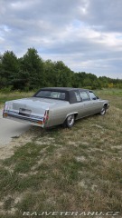 Cadillac Fleetwood Limousine 1979