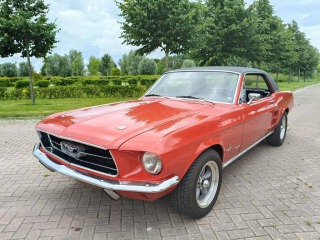 Ford Mustang HARDTOP 289 V8