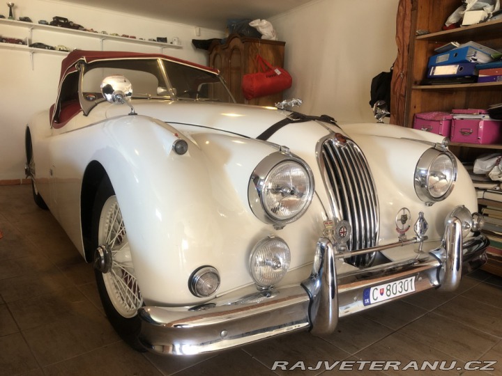 Jaguar XK 140 OTS 1954