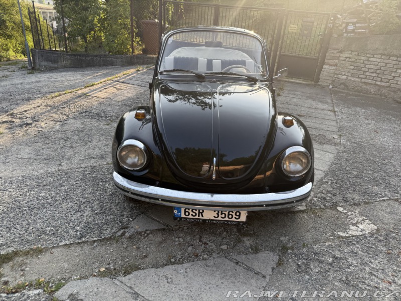 Volkswagen Brouk 1300