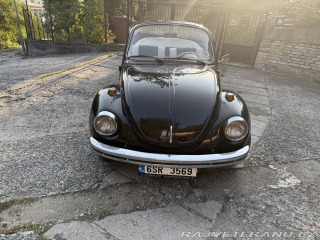 Volkswagen Brouk 1300