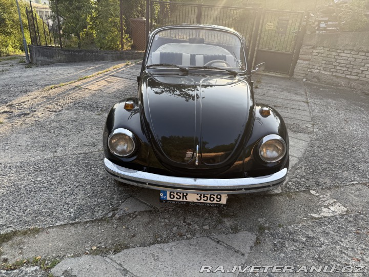 Volkswagen Brouk 1300 1972