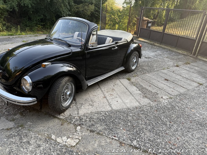 Volkswagen Brouk 1300 1972