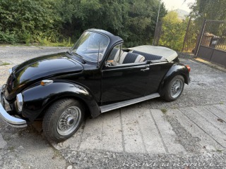 Volkswagen Brouk 1300 1972