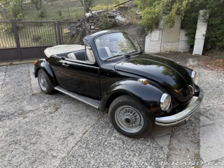 Volkswagen Brouk 1300 1972