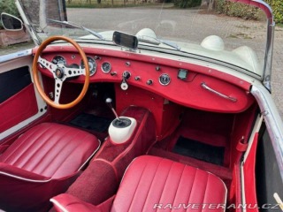 Austin Healey Sprite 1958
