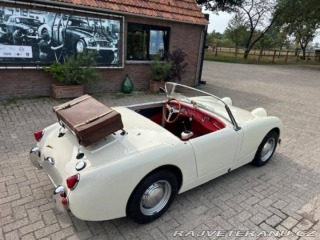 Austin Healey Sprite 1958