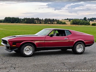 Ford Mustang Mach 1 V8 5.8L