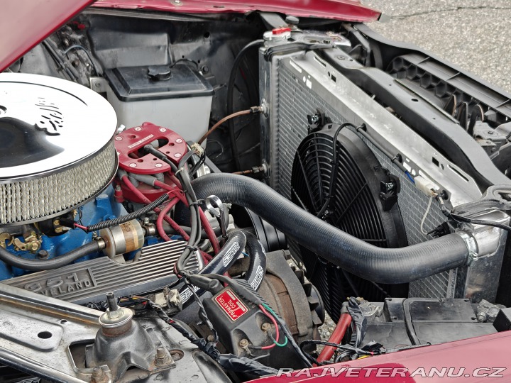 Ford Mustang Mach 1 V8 5.8L 1971