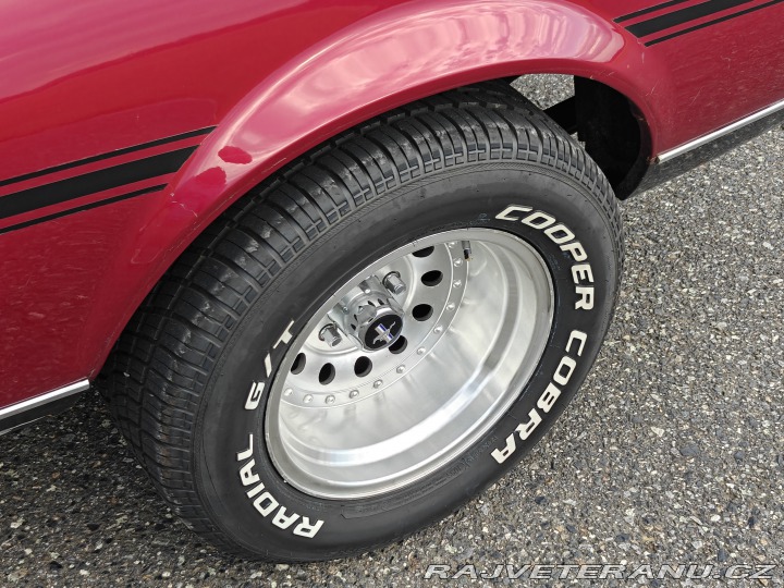 Ford Mustang Mach 1 V8 5.8L 1971