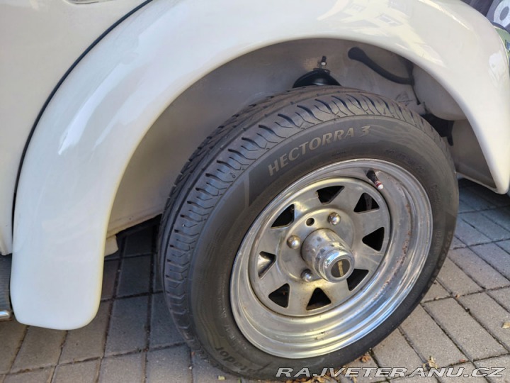 Volkswagen Brouk 1500 1967