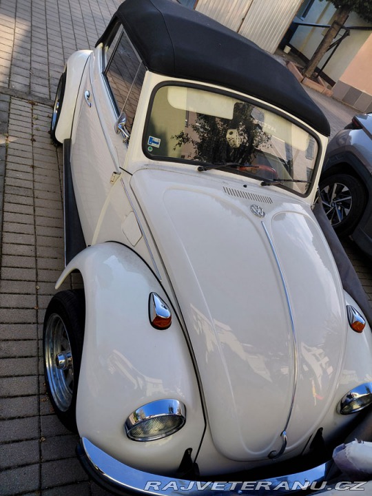 Volkswagen Brouk 1500 1969