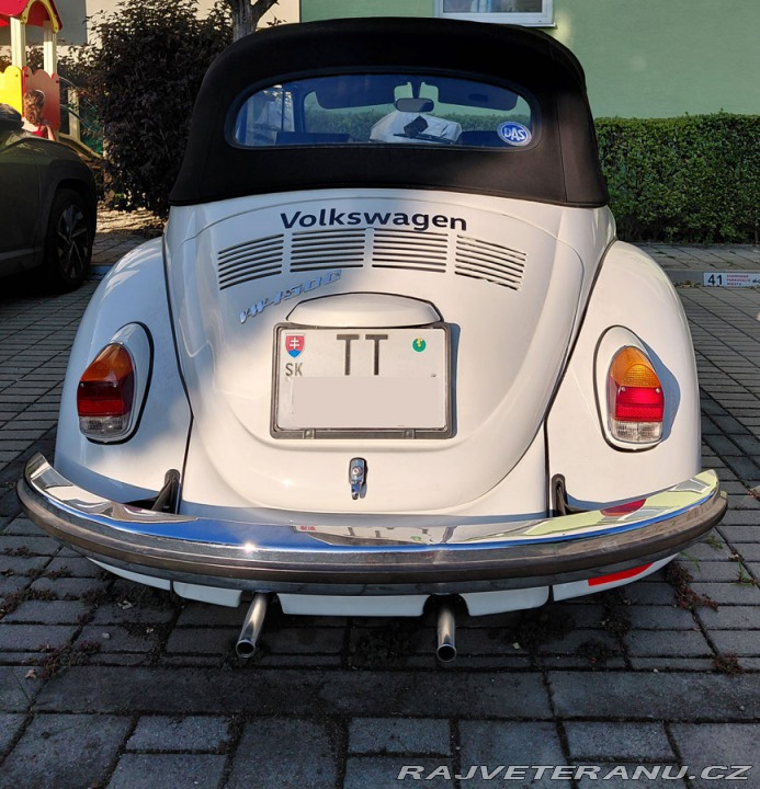Volkswagen Brouk 1500 1969
