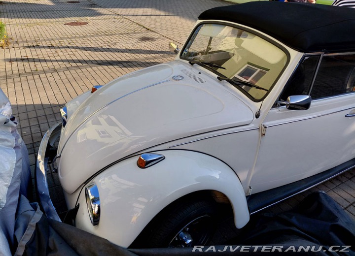 Volkswagen Brouk 1500 1967
