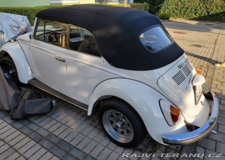 Volkswagen Brouk 1500 S 1967
