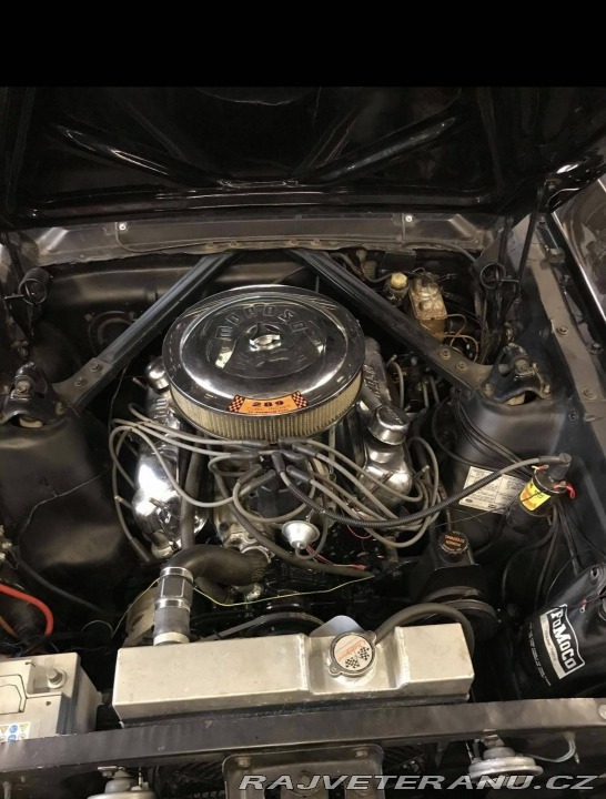 Ford Mustang Fastback 4.7 V8 C-Code 1965