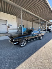 Ford Mustang Fastback 4.7 V8 C-Code 1965
