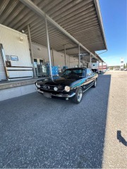 Ford Mustang Fastback 4.7 V8 C-Code 1965