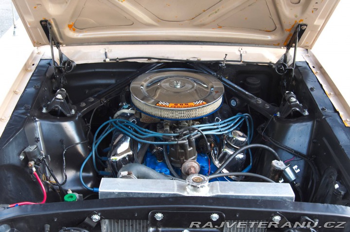 Ford Mustang  1966
