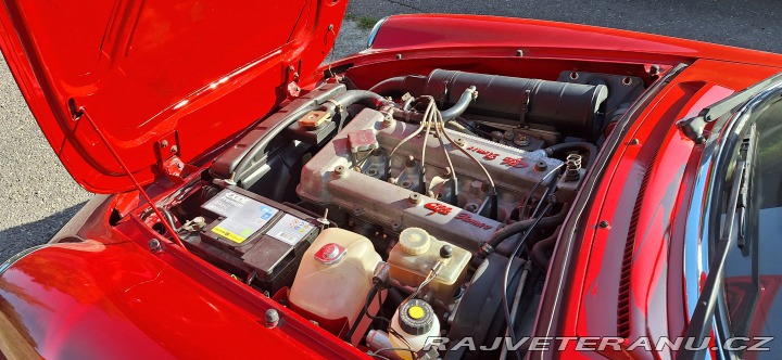 Alfa Romeo Spider 1986