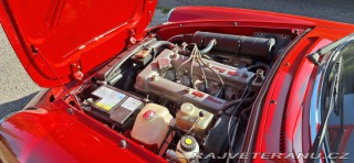 Alfa Romeo Spider 1986