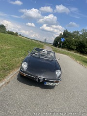 Alfa Romeo Spider Junior 1300 “Coda Tronca” 1977