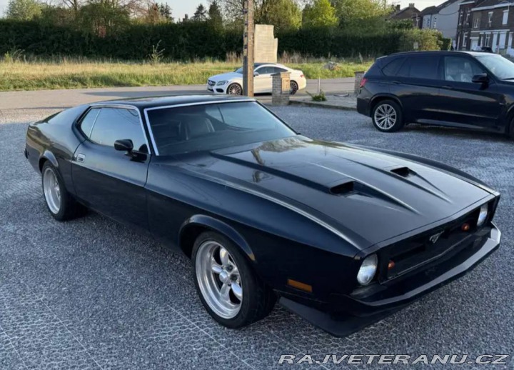 Ford Mustang Fastback 351 4V 1973