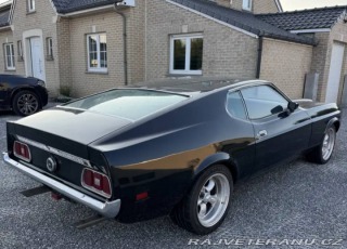 Ford Mustang Fastback 351 4V 1973